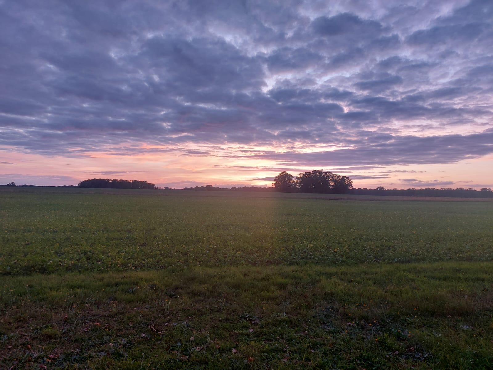 Morgenlicht